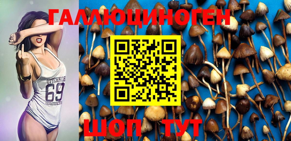Долгопрудный  Галлюциногенные грибы Psilocybine cubensis  купить наркотики цена  Вход с VPN 